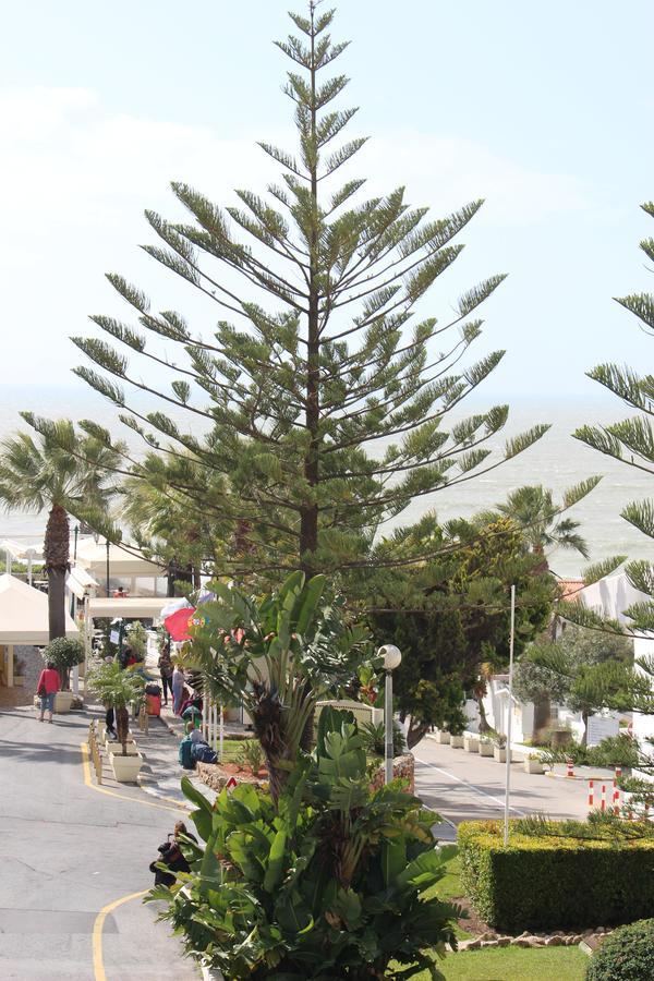 Passport Algarve Apartments Albufeira Exterior foto